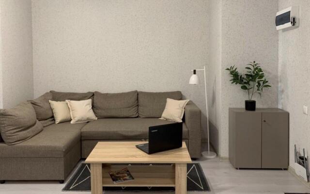 Апартаменты Ленина 43