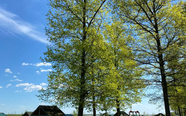 Отель Загородный Волга