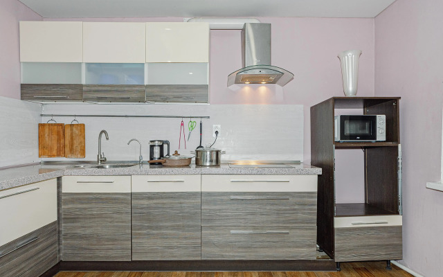Teply Kottedzh Ryadom S Aeroportom Private house