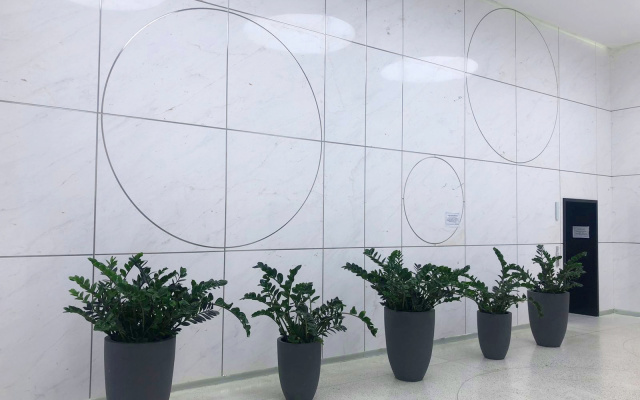 Апартаменты Алис Clear Reports