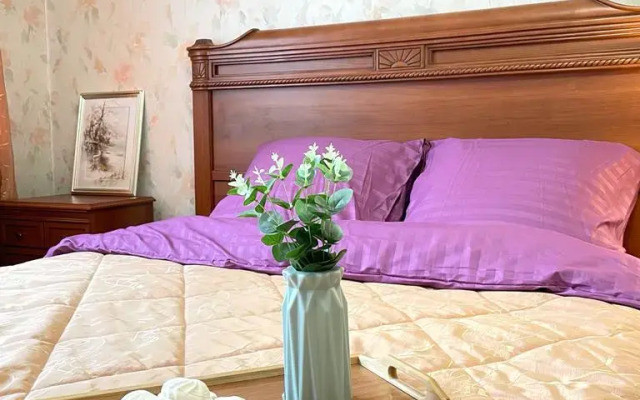 Servisnye apartamenty na prospekte Lenina Flat