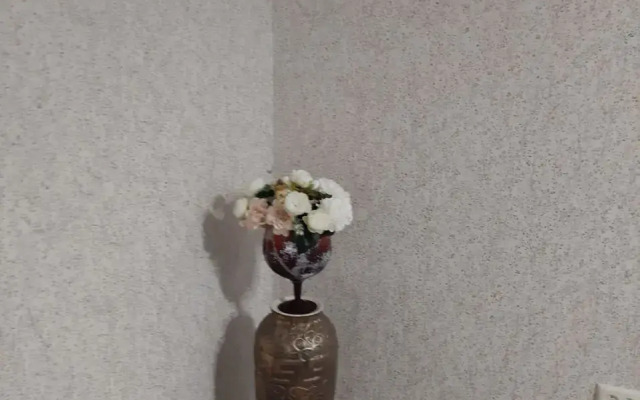 Апартаменты 2-комнатные в Центре Города на Феоктистова