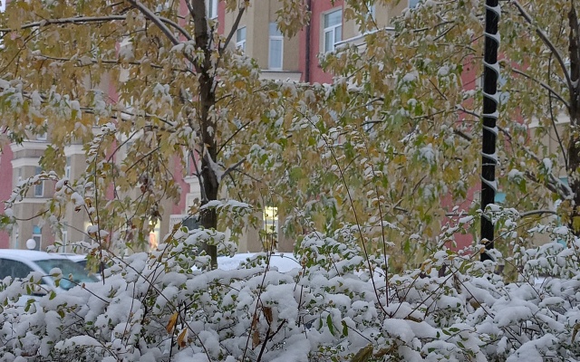 Druzhba Hotel