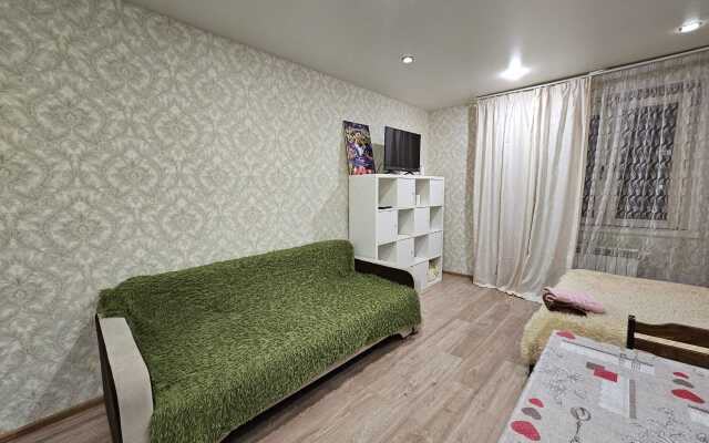 Квартира на улице Курыжова 30 (334)