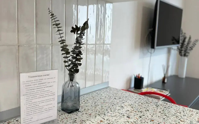 Studiya Okolo Ostrova Mechty I Parka Kolomenskoye Flat