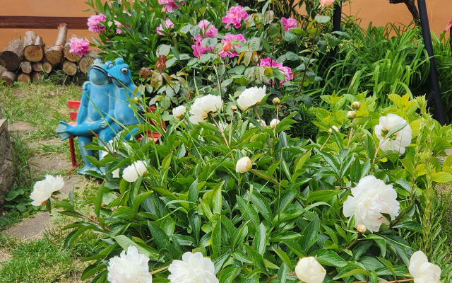 Частный дом Деревянный коттедж