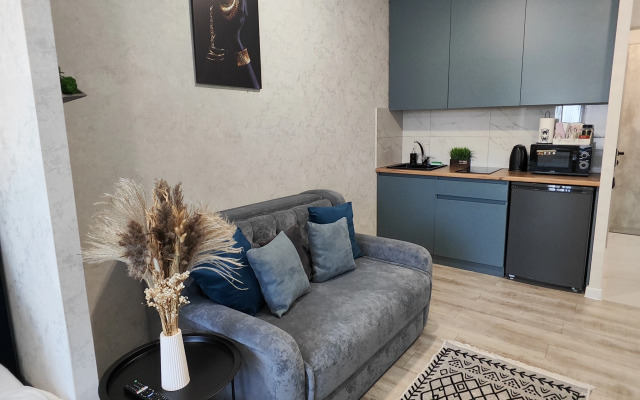 Dizaynerskaya Studiya V Tsentre Abakana Flat
