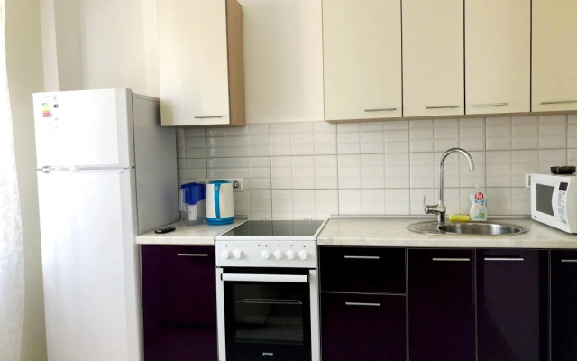 Апартаменты Центральный парк 2