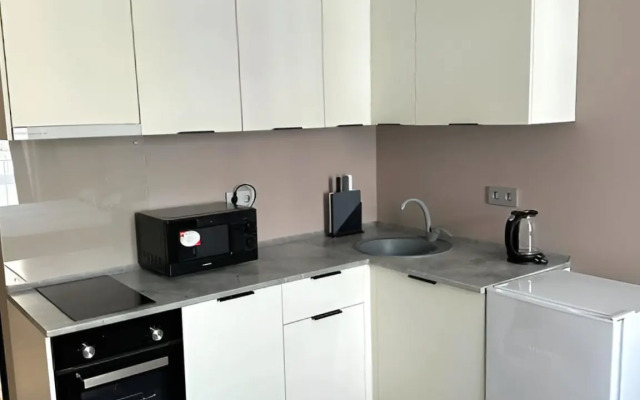 Uyutnaya Studiya Flat