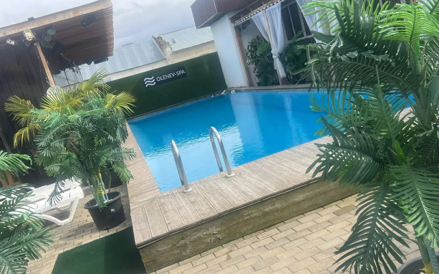 Olenev_spa Guest house