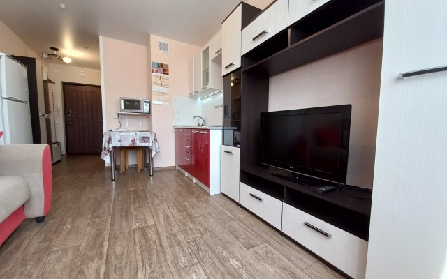 Apartamenty Zhidkova 6 v Tsentre Goroda