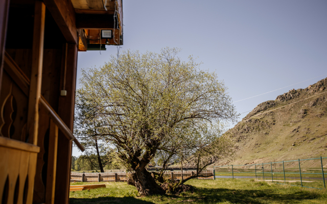 Гостевой дом Алтайские дачи