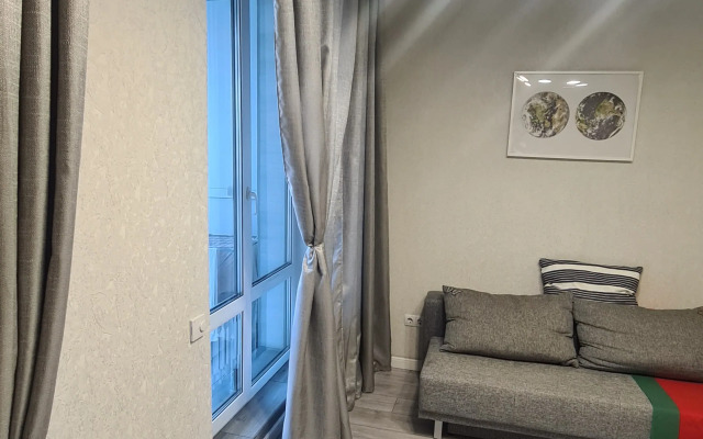 Delovoy Tsentr Omska Apartments
