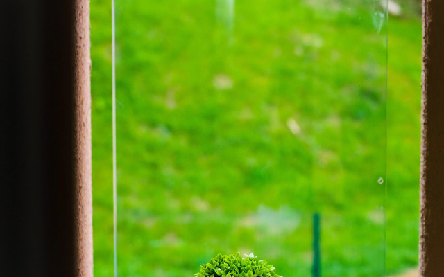 V Zhk Biznes-Klasa V Dagomyse Flat