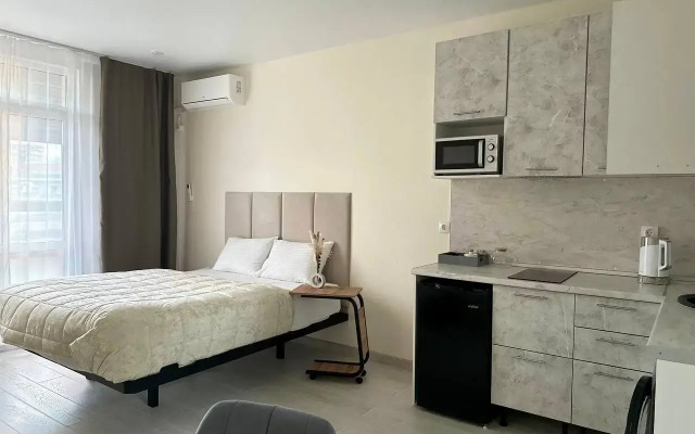 Квартира Студия у метро Пионерская