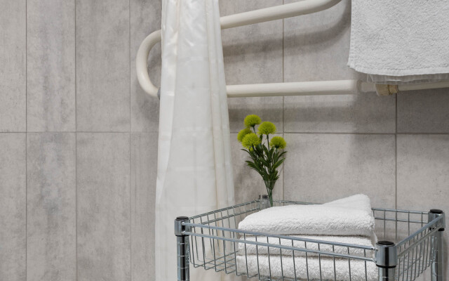 Апартаменты Центр на Маяковского