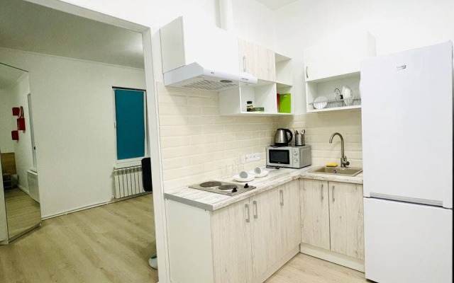 MAXI na Zelenovskoj Apartments