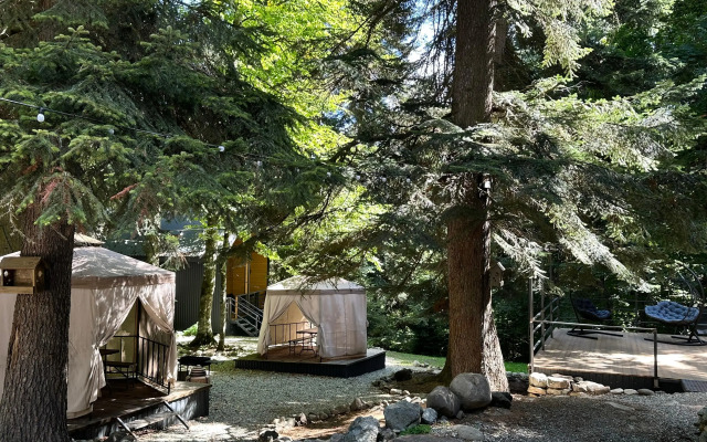 База отдыха Vitaura Витаура