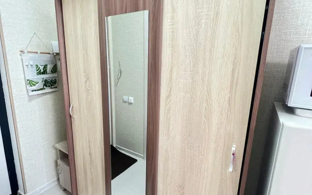 Trekhmestnaya Studiya S Balkonom Apartments