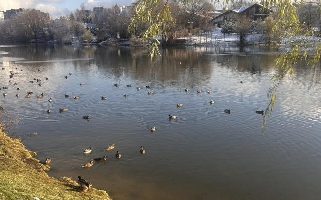 Na Prokshinskom Prospekte 5 Flat