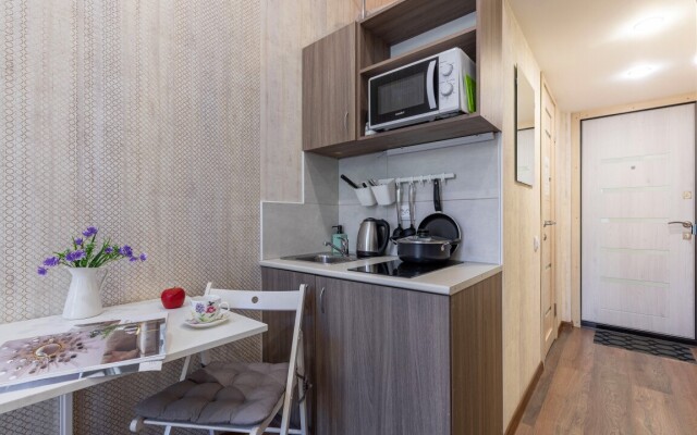 Apartamenty Na Syezzhinskoy (1)