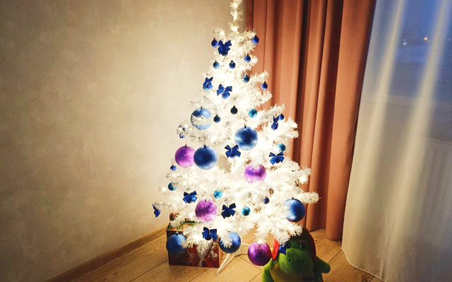 Квартира Новая 1-комнатная,2 кровати