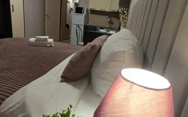 Квартира студия в ЖК Салют