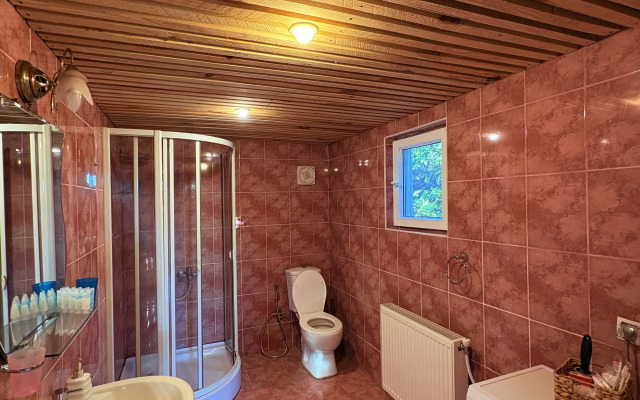 Wooden House Tsikhisdziri Private House