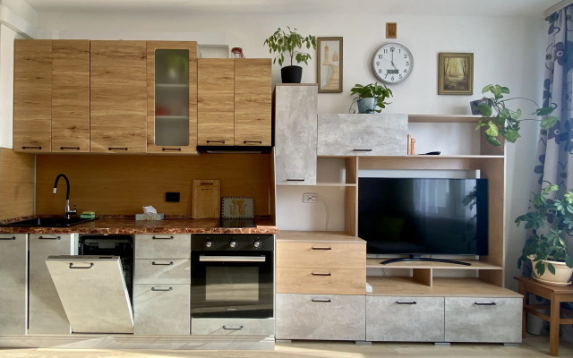 Inroomspb Na Yevgeniya Shvartsa 11 Flat