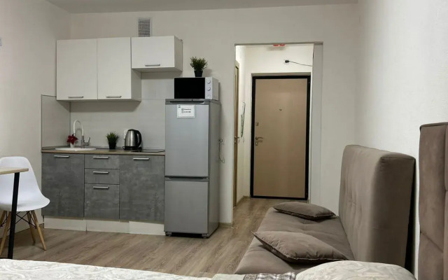Dream House U Aeroporta Apartments