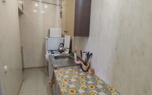 Квартира на улице Ксении Ге 2