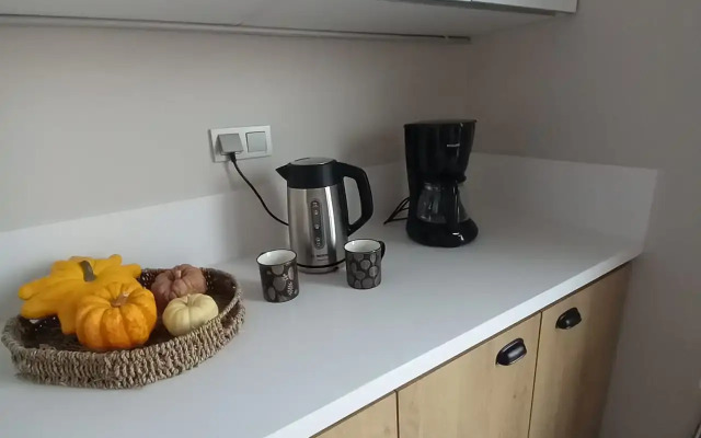 Vidovaya s Terrasoy v Tsentre Flat