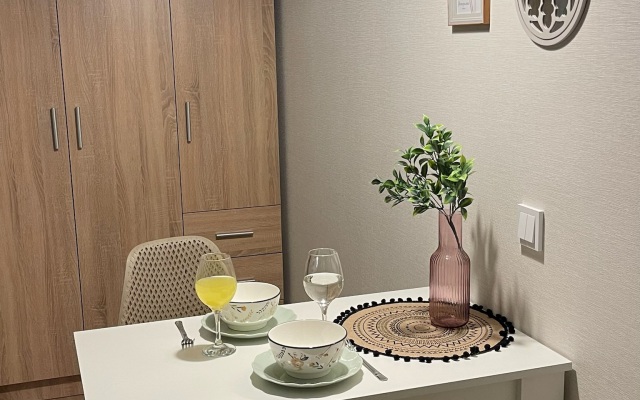 Apartamenty Uyutnaya Studiya S Sobstvennoy Kukhney