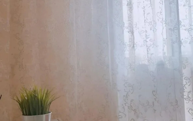 V Tsentralnom Rayone Chelyabinska Flat