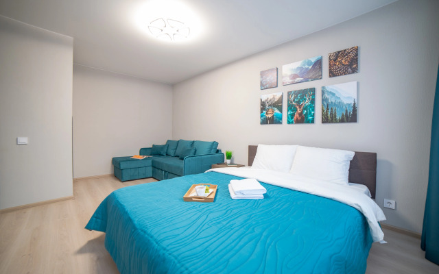 Апартаменты Самолетная 5к1