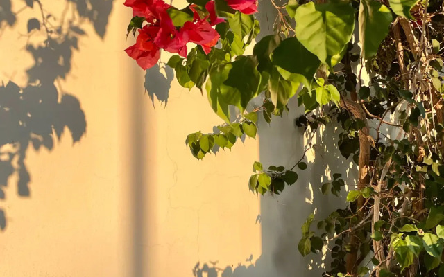 Апарт-отель Rix