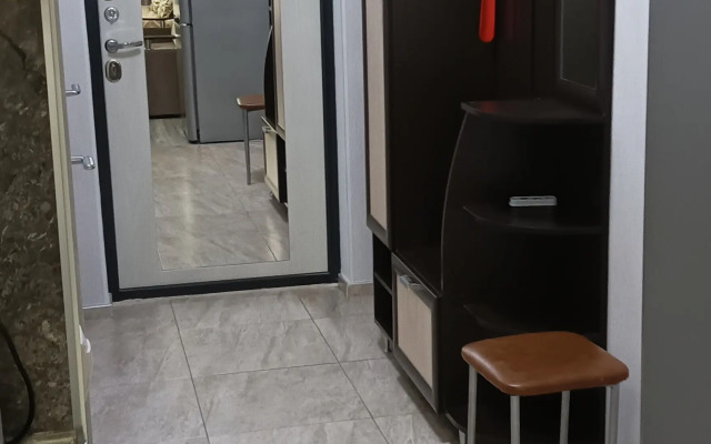 Na Vinogradnoy 22/1B Apartments