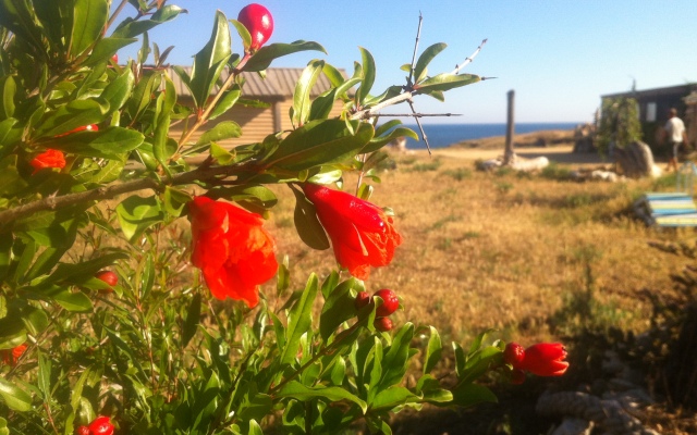 База Отдыха Эко Курорт Морское
