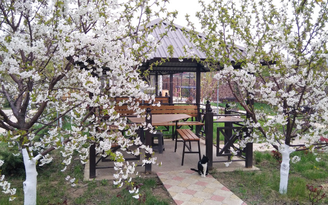 Dobryi Bobr Mini-Hotel