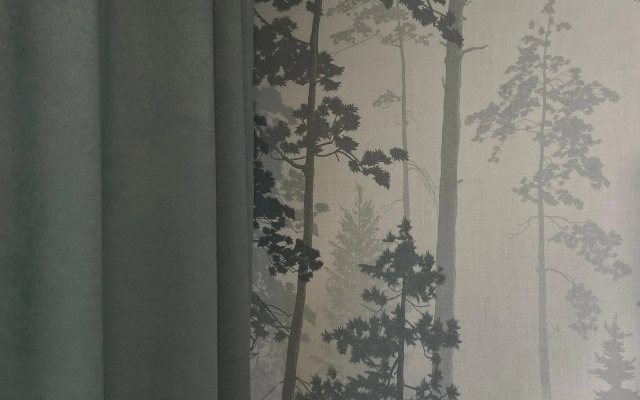 Квартира Ёлки зелёные в тихом центре Петрозаводска