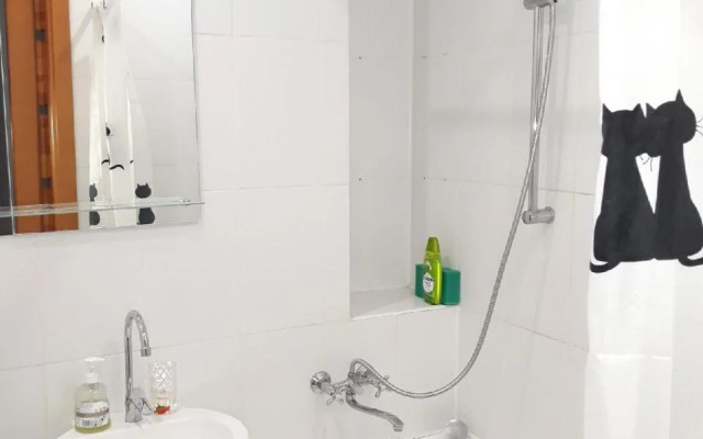 Квартира домашняя светлая двушка в центре Красноярска