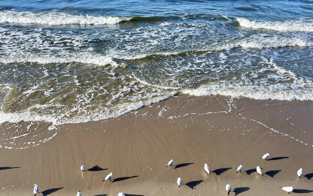 Апартаменты Комфорт-класса в ЖК Кранц-Престиж