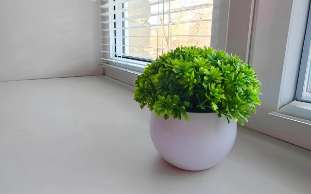 Квартира 1-кoмнaтная в Центрe Гоpода