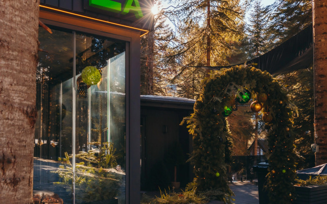 Magic Forest Glamping