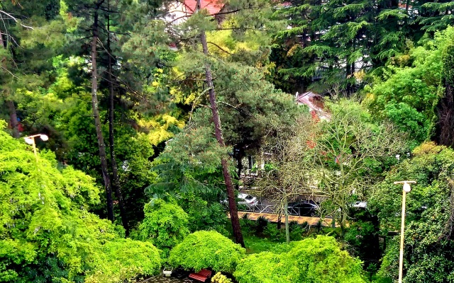 Gosti Sochi Apartments