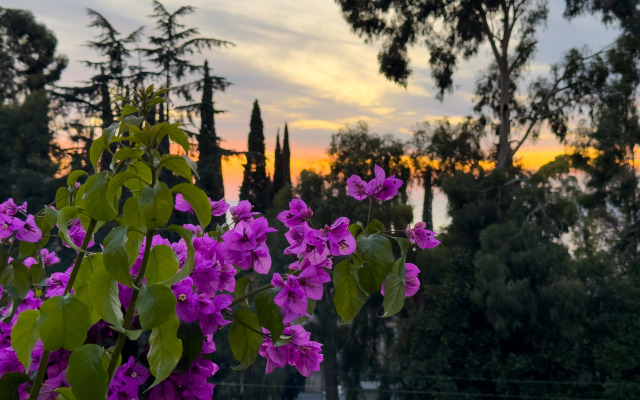 Boutique hotel AIMARA