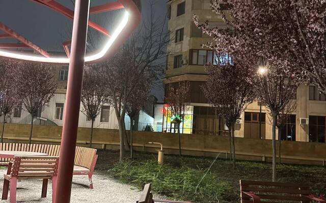 Апартаменты Центральный