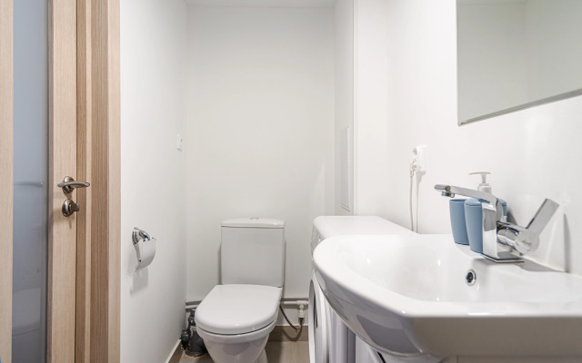 Apartments Lomonosov 1st Nizhnyaya 3 (307)