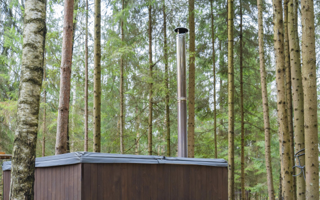 Частный дом Дом-Сфера в Лесу