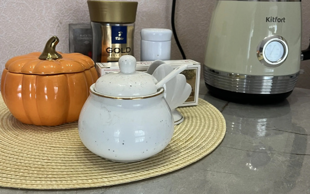 Квартира возле Хурула Золотой Обители в Центре Элисты - фото 3